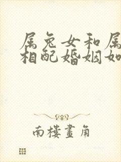 属兔女和属马男相配婚姻如何