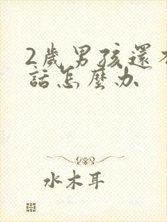 2岁男孩还不说话怎么办