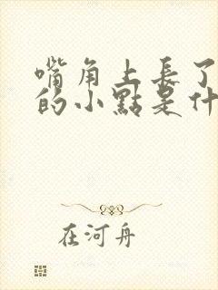 嘴角上长了白色的小点是什么原因