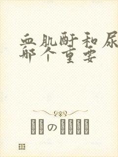 血肌酐和尿肌酐哪个重要