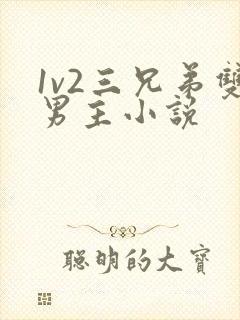 1v2三兄弟双男主小说