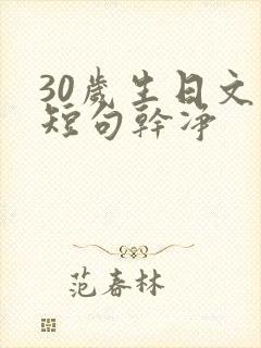 30岁生日文案短句干净