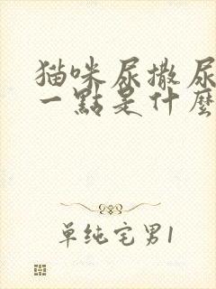 猫咪尿撒尿只撒一点是什么情况