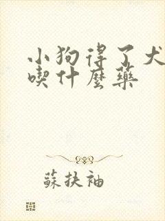 小狗得了犬瘟热吃什么药