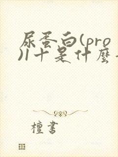 尿蛋白(pro)1十是什么意思