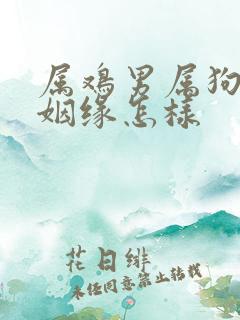 属鸡男属狗女的姻缘怎样