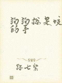 狗狗总是咬主人的手