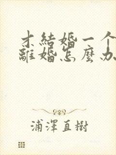 才结婚一个月想离婚怎么办