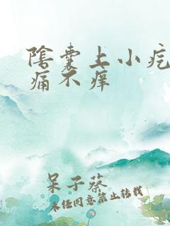 阴囊上小疙瘩不痛不痒