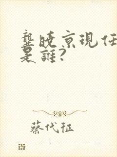 龚晓京现任丈夫是谁?