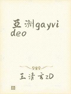 亚洲gayvideo