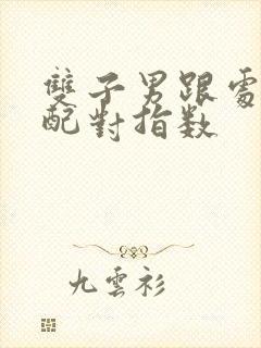 双子男跟处女女配对指数