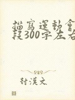 描写运动会的片段300字左右