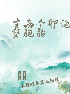 有两个卵泡会怀双胞胎