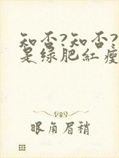 知否?知否?应是绿肥红瘦(网文版)