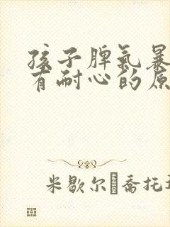 孩子脾气暴躁没有耐心的原因