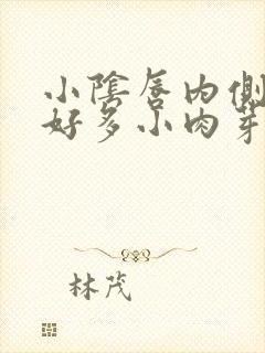 小阴唇内侧长了好多小肉芽一样的