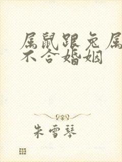 属鼠跟兔属相合不合婚姻