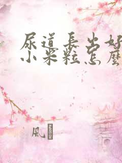 尿道长出好多肉小米粒怎么回事