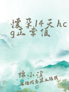 怀孕14天hcg正常值