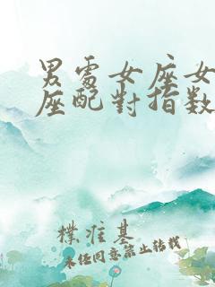 男处女座女摩羯座配对指数