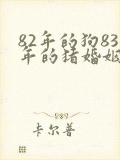 82年的狗83年的猪婚姻合适吗