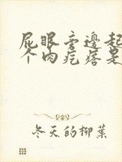 屁眼旁边起了一个肉疙瘩是怎么回事