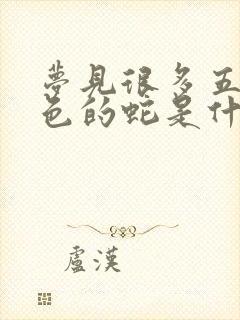 梦见很多五颜六色的蛇是什么预兆