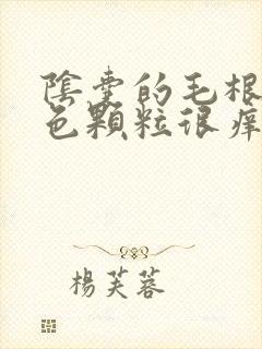 阴囊的毛根有白色颗粒很痒,还红