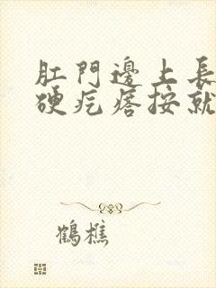 肛门边上长了个硬疙瘩按就疼