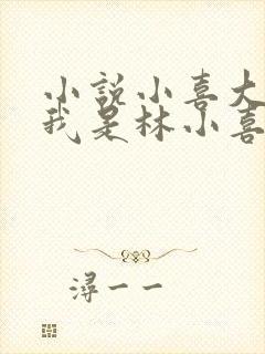 小说小喜大家好我是林小喜今年19岁