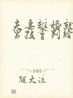 夫妻离婚就一个男孩会判给谁