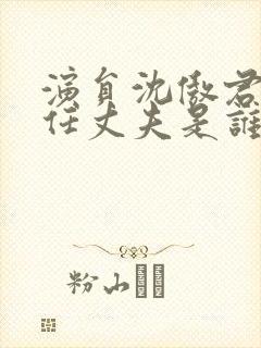 演员沈傲君的现任丈夫是谁