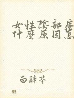 女性阴部瘙痒是什么原因怎么治疗