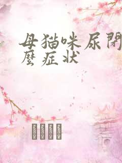 母猫咪尿闭是什么症状