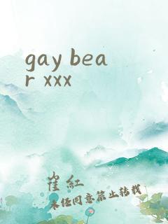 gay bear xxx