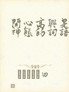 开心高兴是描写神态的词语吗