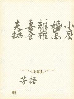 夫妻离婚小孩的抚养权怎么判