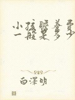 小孩赡养费标准一般是多少钱一个月