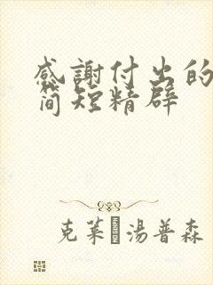 感谢付出的话语简短精辟