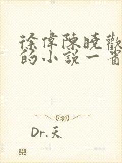 徐伟陈晓欢主角的小说一省之长