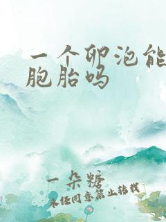 一个卵泡能怀双胞胎吗