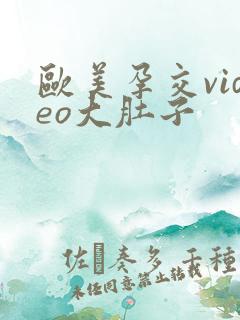 欧美孕交video大肚子