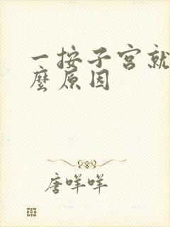 一按子宫就痛什么原因