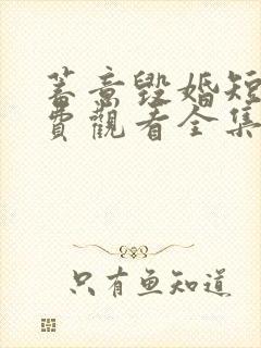 蓄意毁婚短剧免费观看全集高清