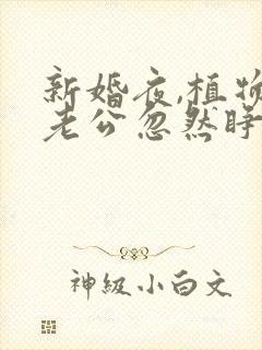 新婚夜,植物人老公忽然睁开眼原著小说