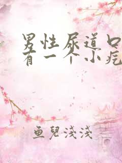 男性尿道口下面有一个小疙瘩