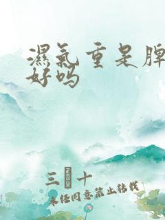 湿气重是脾胃不好吗