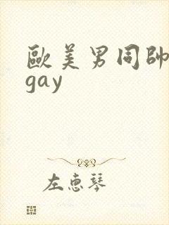欧美男同帅激情gay