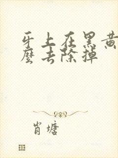 牙上在黑黄渍怎么去除掉